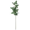 Top 10 💯 12 Pack: Rose Leaf Stem by Ashland® 🧨 -Ashland Sales 10626471 1