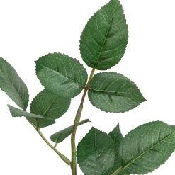 Top 10 💯 12 Pack: Rose Leaf Stem by Ashland® 🧨 -Ashland Sales 10626471 2