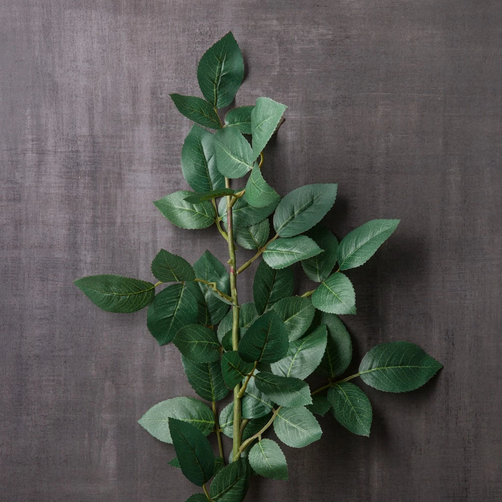 Wholesale 😉 Rose Leaf Stem by Ashland® 🎁 4 Wholesale 😉 Rose Leaf Stem by Ashland® 🎁 - Image 2