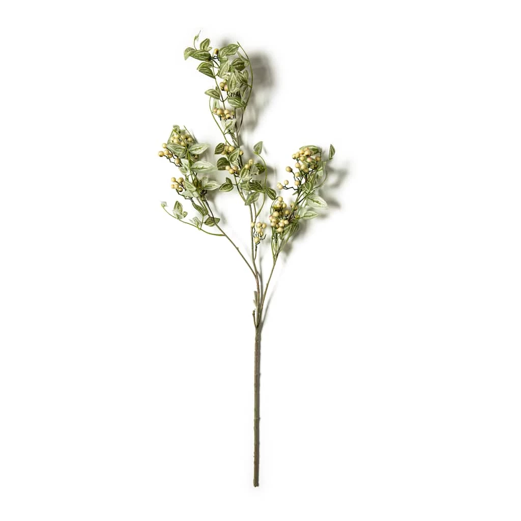 Coupon ✨ Green Berry Stem with Leaves by Ashland® 😍 3 Coupon ✨ Green Berry Stem with Leaves by Ashland® 😍