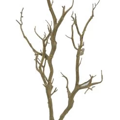 Discount 😀 8 Pack: Brown Bare Birch Branch by Ashland® 🎁 -Ashland Sales 10626481 2 1