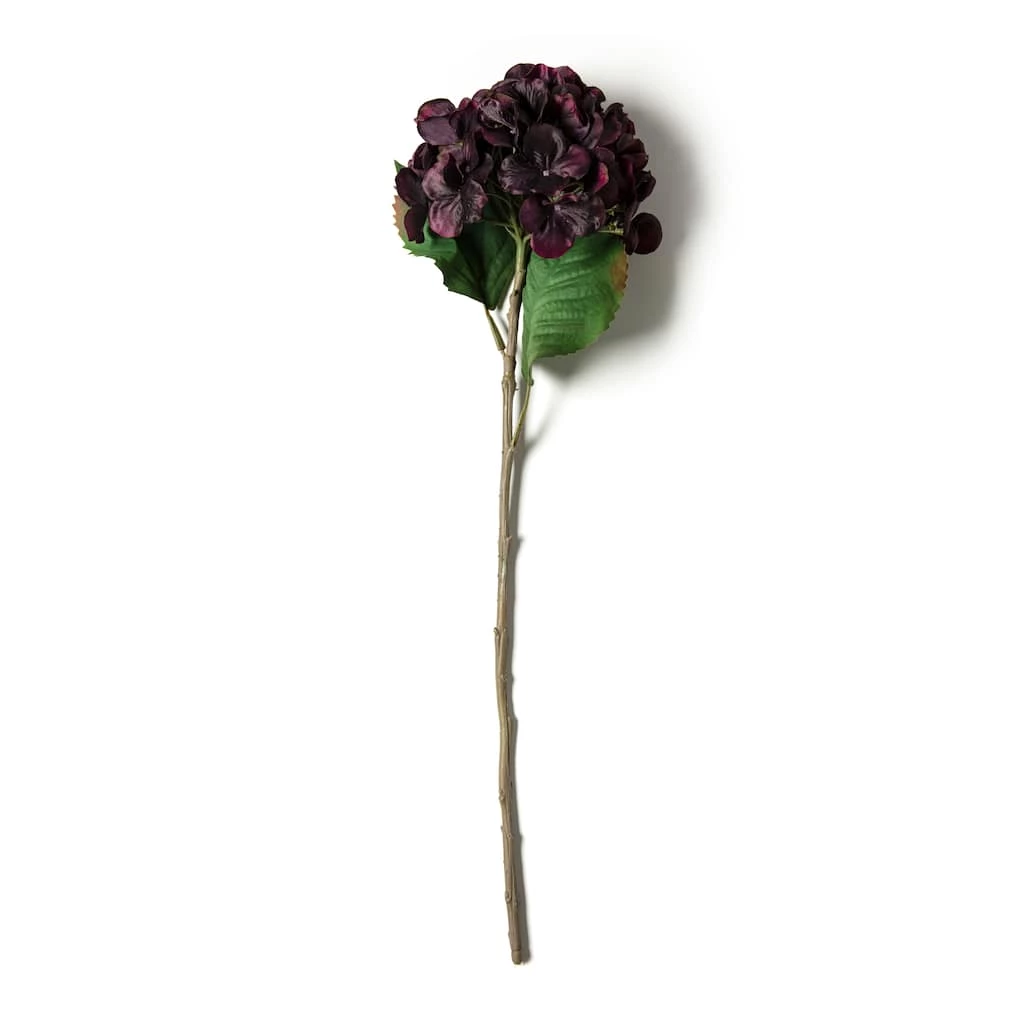 Best reviews of π₯° Black & Purple Hydrangea Stem by Ashland® π 3 Best reviews of π₯° Black & Purple Hydrangea Stem by Ashland® π