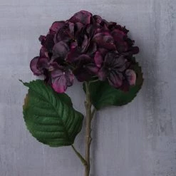 Best reviews of π₯° Black & Purple Hydrangea Stem by Ashland® π 6 Best reviews of π₯° Black & Purple Hydrangea Stem by Ashland® π -Ashland Sales 10626485 22
