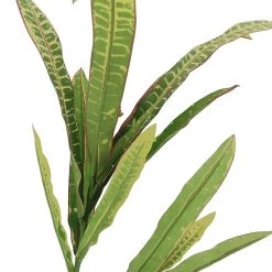 Wholesale 🌟 12 Pack: Green & Yellow Croton Stem by Ashland® 😀 -Ashland Sales 10626491 2 1