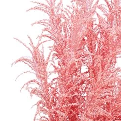 Best deal 🥰 6 Pack: Peach Pampas Grass Stem by Ashland® 🎁 -Ashland Sales 10626520 3