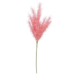 Best deal 🥰 6 Pack: Peach Pampas Grass Stem by Ashland® 🎁 -Ashland Sales 10626520 4