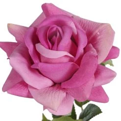Cheap ⌛ 12 Pack: Pink Foam Rose Stem by Ashland® 🔔 -Ashland Sales 10626527 2