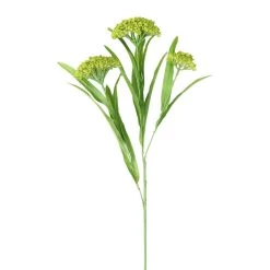 Hot Sale ❤️ 12 Pack: Green Queen Anne's Lace Spray by Ashland® 🔥