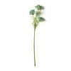 Buy ✔️ Blue Queen Anne's Lace Stem by Ashland® 😀 -Ashland Sales 10626566 21