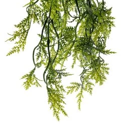 Best reviews of 🎁 Green Hanging Fern Bush by Ashland® 😍 11 Best reviews of 🎁 Green Hanging Fern Bush by Ashland® 😍 -Ashland Sales 10626844 20