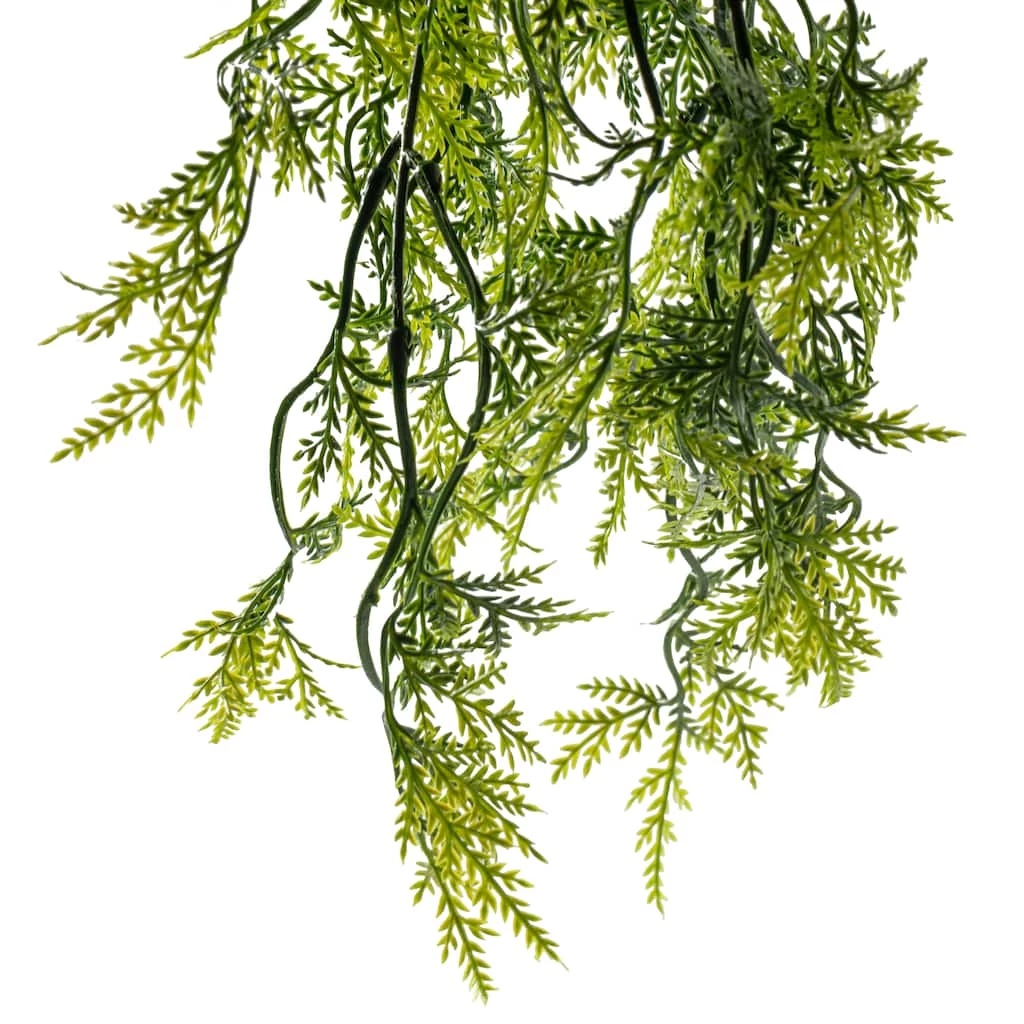 Best reviews of 🎁 Green Hanging Fern Bush by Ashland® 😍 6 Best reviews of 🎁 Green Hanging Fern Bush by Ashland® 😍 - Image 4