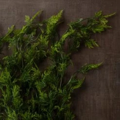 Best reviews of 🎁 Green Hanging Fern Bush by Ashland® 😍 13 Best reviews of 🎁 Green Hanging Fern Bush by Ashland® 😍 -Ashland Sales 10626844 25