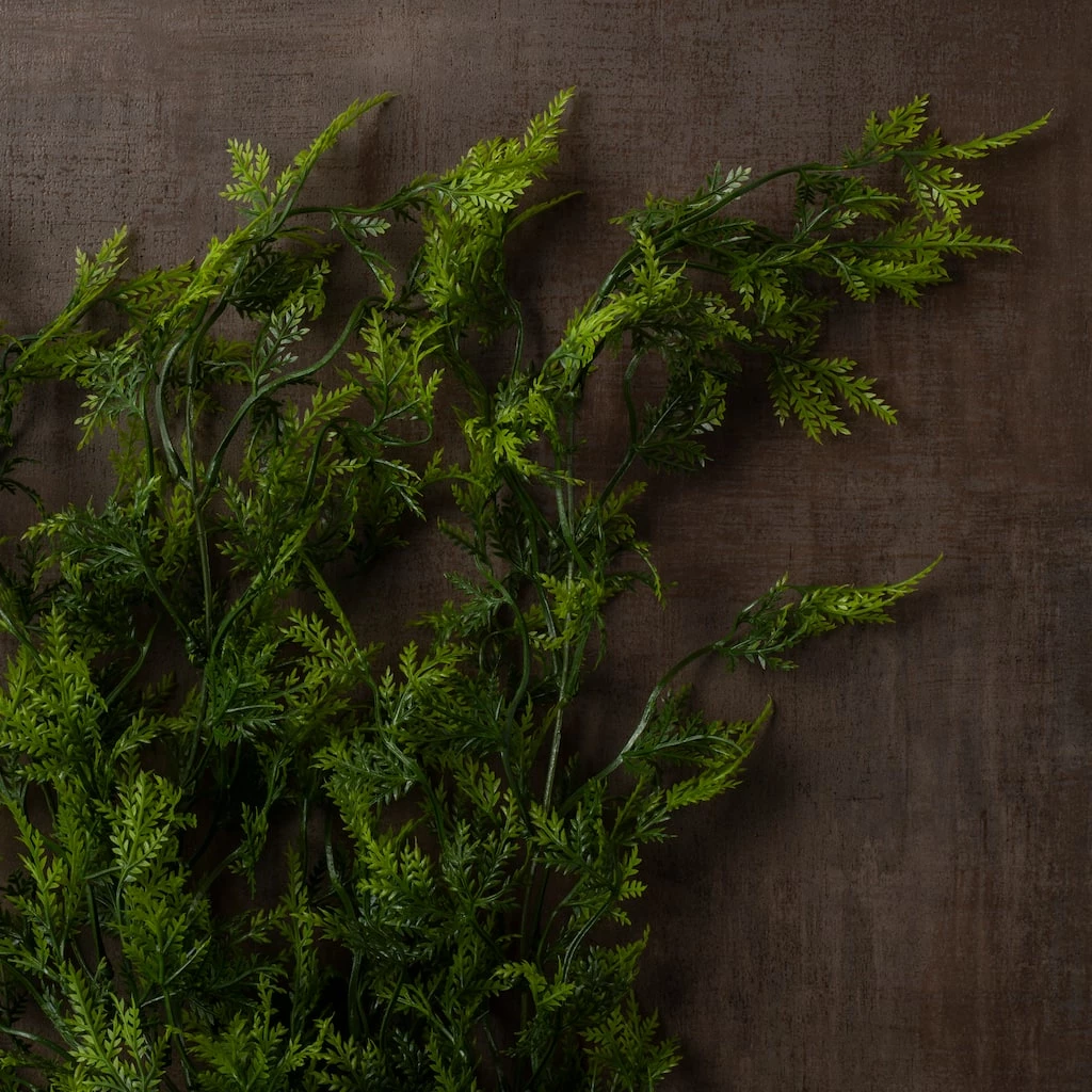 Best reviews of 🎁 Green Hanging Fern Bush by Ashland® 😍 8 Best reviews of 🎁 Green Hanging Fern Bush by Ashland® 😍 - Image 6