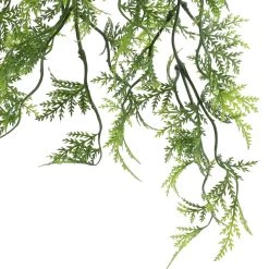 Best reviews of 🎁 Green Hanging Fern Bush by Ashland® 😍 9 Best reviews of 🎁 Green Hanging Fern Bush by Ashland® 😍 -Ashland Sales 10626844 3