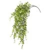 Flash Sale 👏 6 Pack: Green Hanging Smilax Bush by Ashland® ✨ -Ashland Sales 10626846 1 1