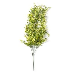 Flash Sale 👏 6 Pack: Green Hanging Smilax Bush by Ashland® ✨ -Ashland Sales 10626846 21 1