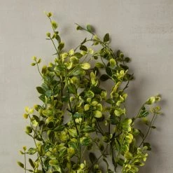 Flash Sale 👏 6 Pack: Green Hanging Smilax Bush by Ashland® ✨ -Ashland Sales 10626846 25 1