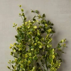Best Pirce ❤️ Green Hanging Smilax Bush by Ashland® 👍 -Ashland Sales 10626846 25