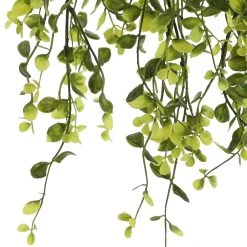 Flash Sale 👏 6 Pack: Green Hanging Smilax Bush by Ashland® ✨ -Ashland Sales 10626846 3 1