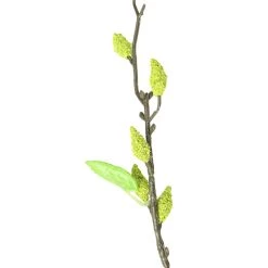 Best Sale 😉 12 Pack: Green Willow Stem by Ashland® 👏 -Ashland Sales 10626847 2