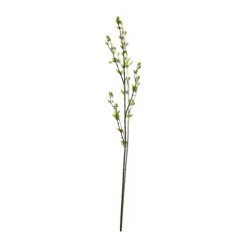 Top 10 🤩 Green Willow Stem by Ashland® ⭐