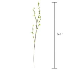Best Sale 😉 12 Pack: Green Willow Stem by Ashland® 👏 -Ashland Sales 10626847 3 1