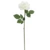 Deals 🌟 6 Pack: White Rose Stem by Ashland® 🎁 -Ashland Sales 10626862 1