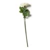 Coupon 🛒 White Rose Stem by Ashland® ⌛ -Ashland Sales 10626862 21