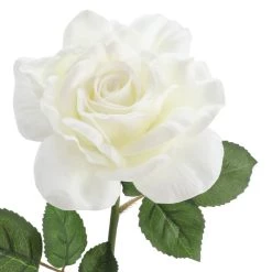 Deals 🌟 6 Pack: White Rose Stem by Ashland® 🎁 -Ashland Sales 10626862 3