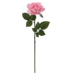 Discount 💯 6 Pack: Blush Rose Stem by Ashland® 😀