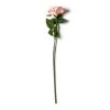 Cheap 🎉 Blush Rose Stem by Ashland® 😀 -Ashland Sales 10626864 21
