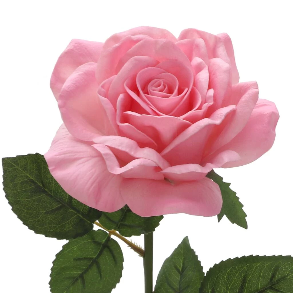 Discount π― 6 Pack: Blush Rose Stem by Ashland® π 4 Discount π― 6 Pack: Blush Rose Stem by Ashland® π - Image 2