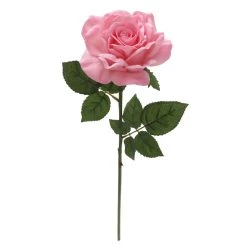 Discount π― 6 Pack: Blush Rose Stem by Ashland® π 10 Discount π― 6 Pack: Blush Rose Stem by Ashland® π -Ashland Sales 10626864 4