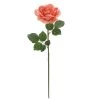 Top 10 🔥 6 Pack: Coral Rose Stem by Ashland® ⌛ -Ashland Sales 10626866 1
