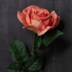 Budget 👍 Coral Rose Stem by Ashland® 😀 -Ashland Sales 10626866 22