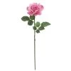 Promo ๐ 6 Pack: Pink Rose Stem by Ashland® ๐ฏ 2 Promo ๐ 6 Pack: Pink Rose Stem by Ashland® ๐ฏ -Ashland Sales 10626868 1