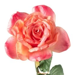Cheapest 😉 Pink Rose Stem by Ashland® ⌛ -Ashland Sales 10626868 20