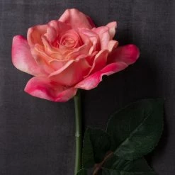 Cheapest 😉 Pink Rose Stem by Ashland® ⌛ -Ashland Sales 10626868 22