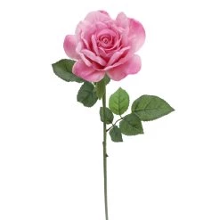 Promo 👏 6 Pack: Pink Rose Stem by Ashland® 💯 -Ashland Sales 10626868 4