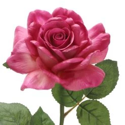 Best Sale ⌛ 6 Pack: Fuchsia Rose Stem by Ashland® ⌛ -Ashland Sales 10626870 3