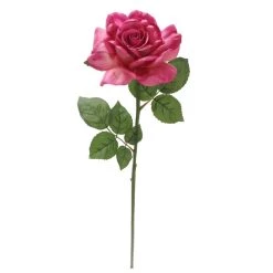 Best Sale ⌛ 6 Pack: Fuchsia Rose Stem by Ashland® ⌛ -Ashland Sales 10626870 4