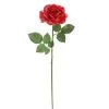 Outlet 🔔 6 Pack: Red Rose Stem by Ashland® ✨