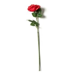 Top 10 β€οΈ Red Rose Stem by Ashland® β¨
