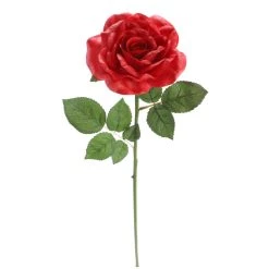 Outlet 🔔 6 Pack: Red Rose Stem by Ashland® ✨ -Ashland Sales 10626872 4