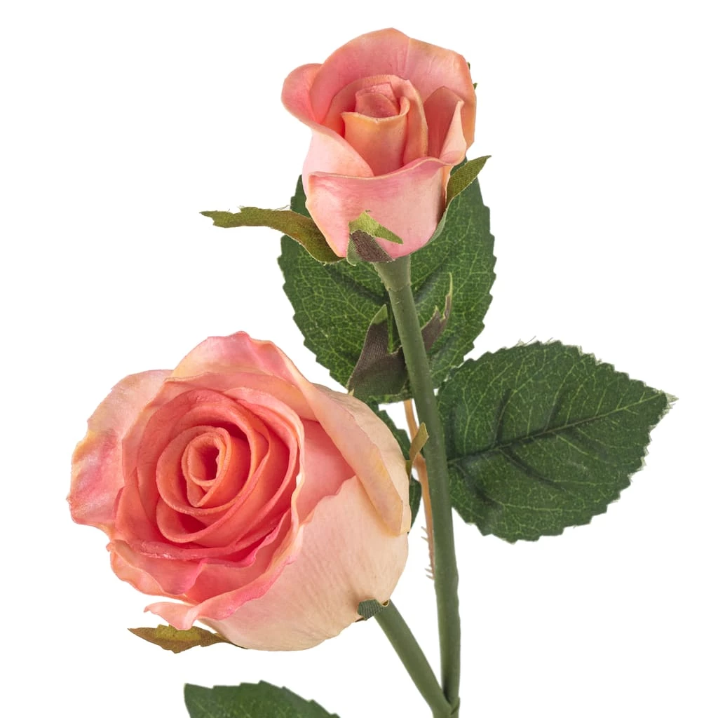 Deals 🔔 Pink Rose Stem by Ashland® 💯 5 Deals 🔔 Pink Rose Stem by Ashland® 💯 - Image 3