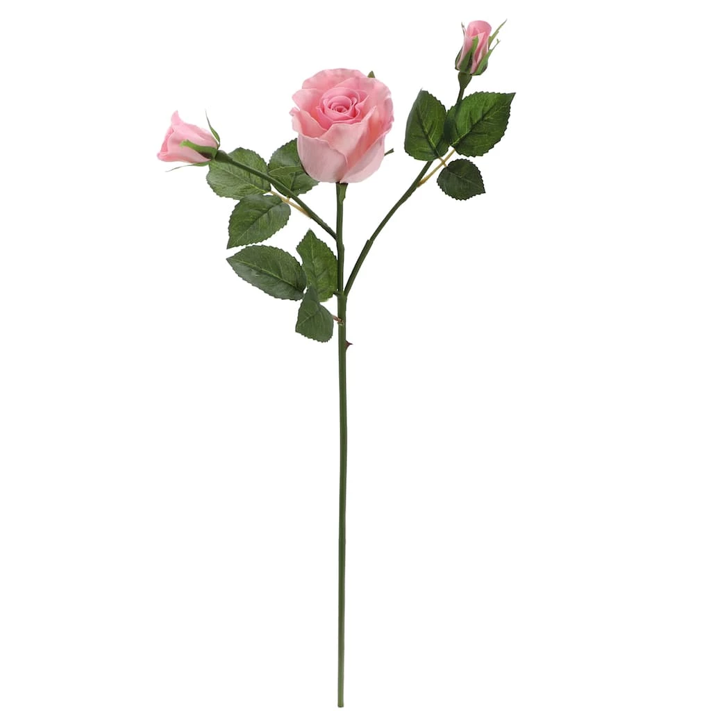 Best reviews of ⌛ 6 Pack: Blush Rose Spray by Ashland® 🤩 3 Best reviews of ⌛ 6 Pack: Blush Rose Spray by Ashland® 🤩