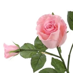 Best reviews of ⌛ 6 Pack: Blush Rose Spray by Ashland® 🤩 9 Best reviews of ⌛ 6 Pack: Blush Rose Spray by Ashland® 🤩 -Ashland Sales 10626876 3