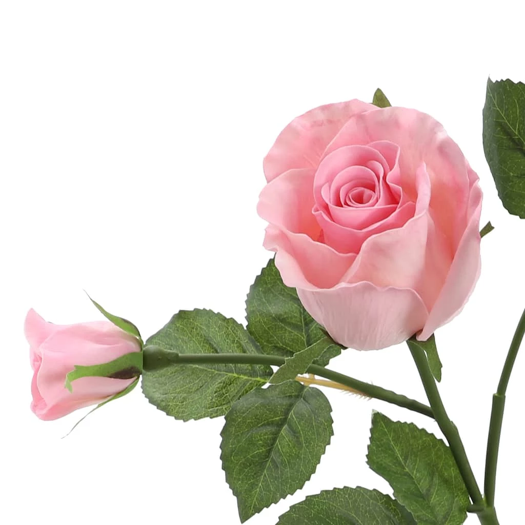 Best reviews of ⌛ 6 Pack: Blush Rose Spray by Ashland® 🤩 4 Best reviews of ⌛ 6 Pack: Blush Rose Spray by Ashland® 🤩 - Image 2