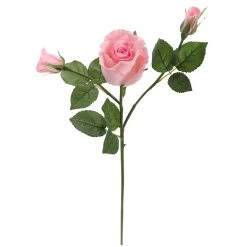 Best reviews of ⌛ 6 Pack: Blush Rose Spray by Ashland® 🤩 10 Best reviews of ⌛ 6 Pack: Blush Rose Spray by Ashland® 🤩 -Ashland Sales 10626876 4