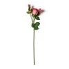 Coupon 😍 Fuchsia Rose Stem by Ashland® 🧨 -Ashland Sales 10626878 21